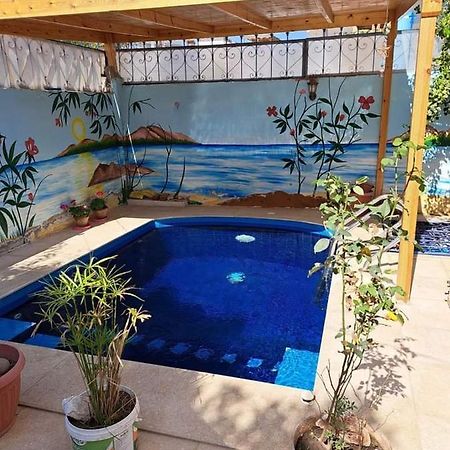 Villa Louise Guest House 룩소르 외부 사진