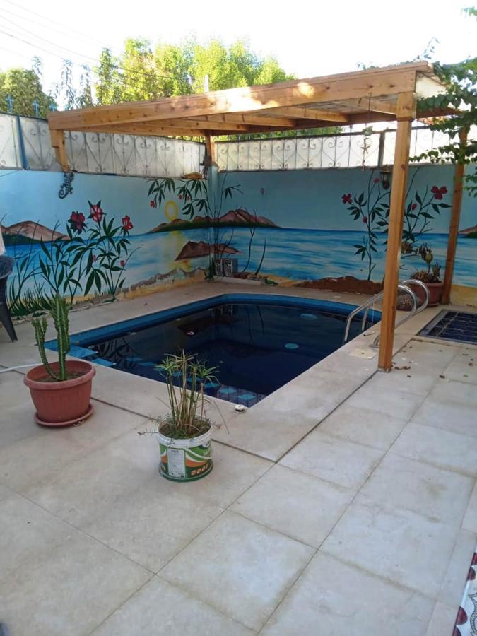 Villa Louise Guest House 룩소르 외부 사진