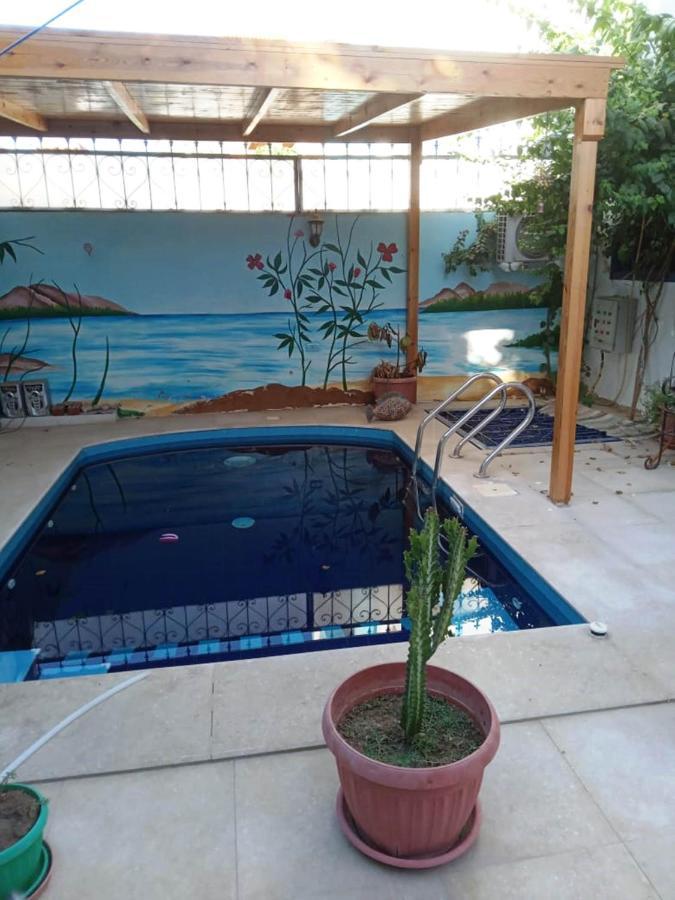 Villa Louise Guest House 룩소르 외부 사진